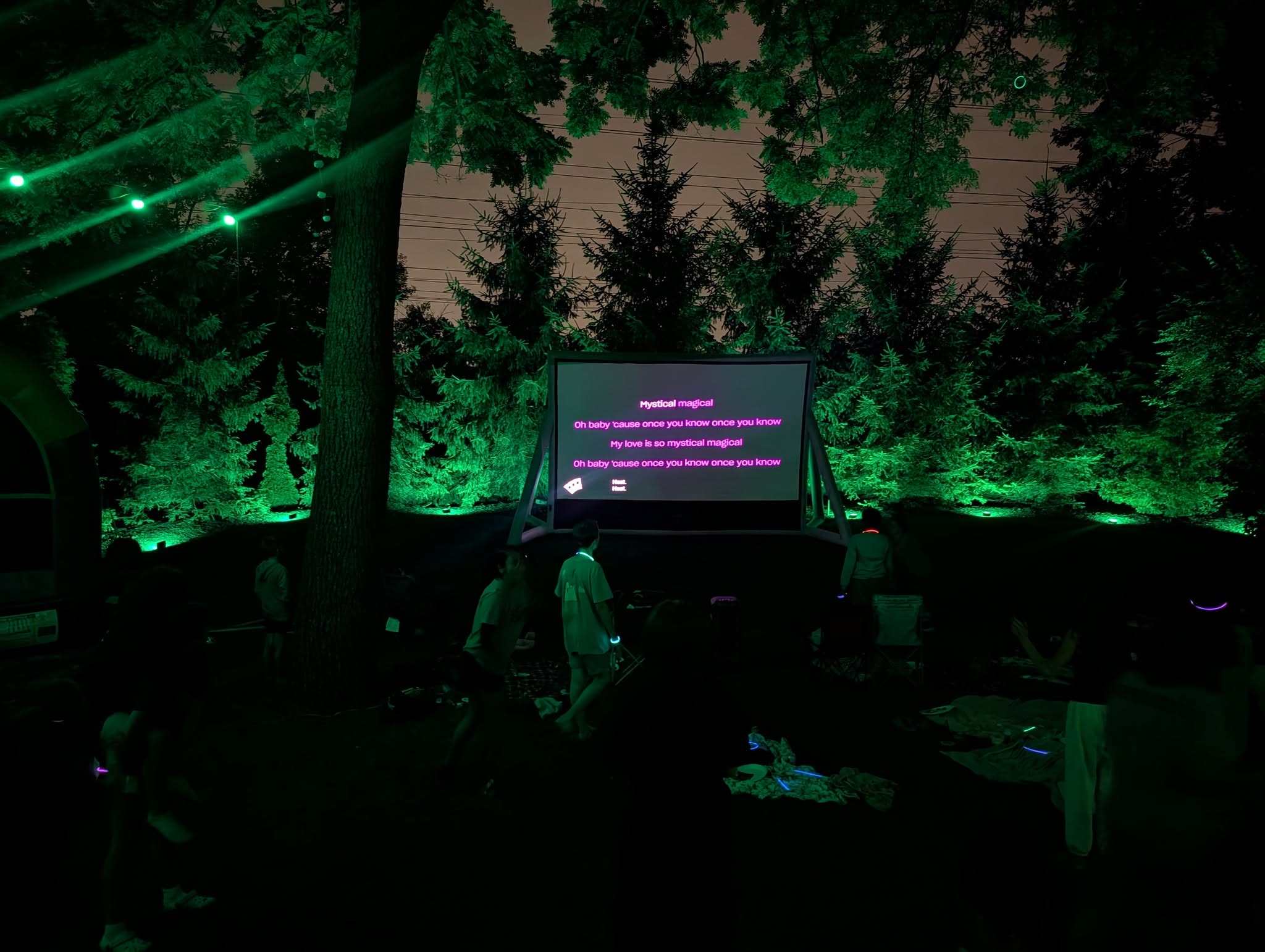 Front yard screen setup